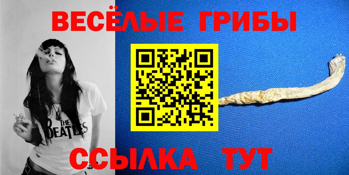 Псилоцибиновые грибы прущие грибы Волгодонск